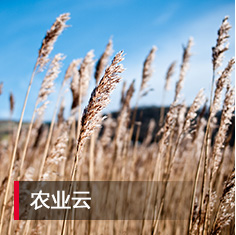 糖果派对 - 更优质的游戏运营商官网